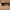 Heimdal Tischler-Kommode aus massivem Eichenholz mit 5 Schubladen, mit Naturöl, auf Metallbeinen – H122 x B47 x T42 cm – wird fertig montiert geliefert