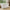 Nanna entrémøbel i massiv fyrretræ – hvidmalet RAL 9010 – billede 1