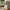 Nanna vitrineskab i fyrretræ – hvidmalet og natur fyrretræ – billede 1