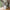 Nanna vitrineskab smal i fyrretræ – hvidmalet RAL 9010 – billede 2