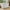 Nanna entrémøbel i massiv fyrretræ – hvidmalet RAL 9010 – billede 3