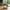 Hermod sidebord med avisholder i massiv egetræ – billede 3