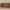 Idun kommode med lys bred i massiv egetræ – tabacco – billede 24