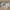 Nanna hylde i massiv fyrretræ – hvidmalet RAL 9010 – billede 13