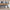 Tyr kommode med skuffer i massiv egetræ, med glas – billede 25